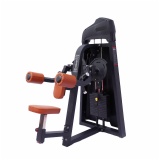 Lateral Raise THJ7705, 131541