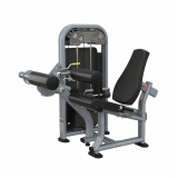 Seated Leg Curl THJ8809-B, 131520