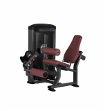 Seated Leg Extension/leg Curl THJ9923, 131484