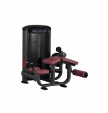 Horizontal leg curl THJ9919, 131480