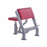 Arm Curl Training Rack THJ5530, 131648